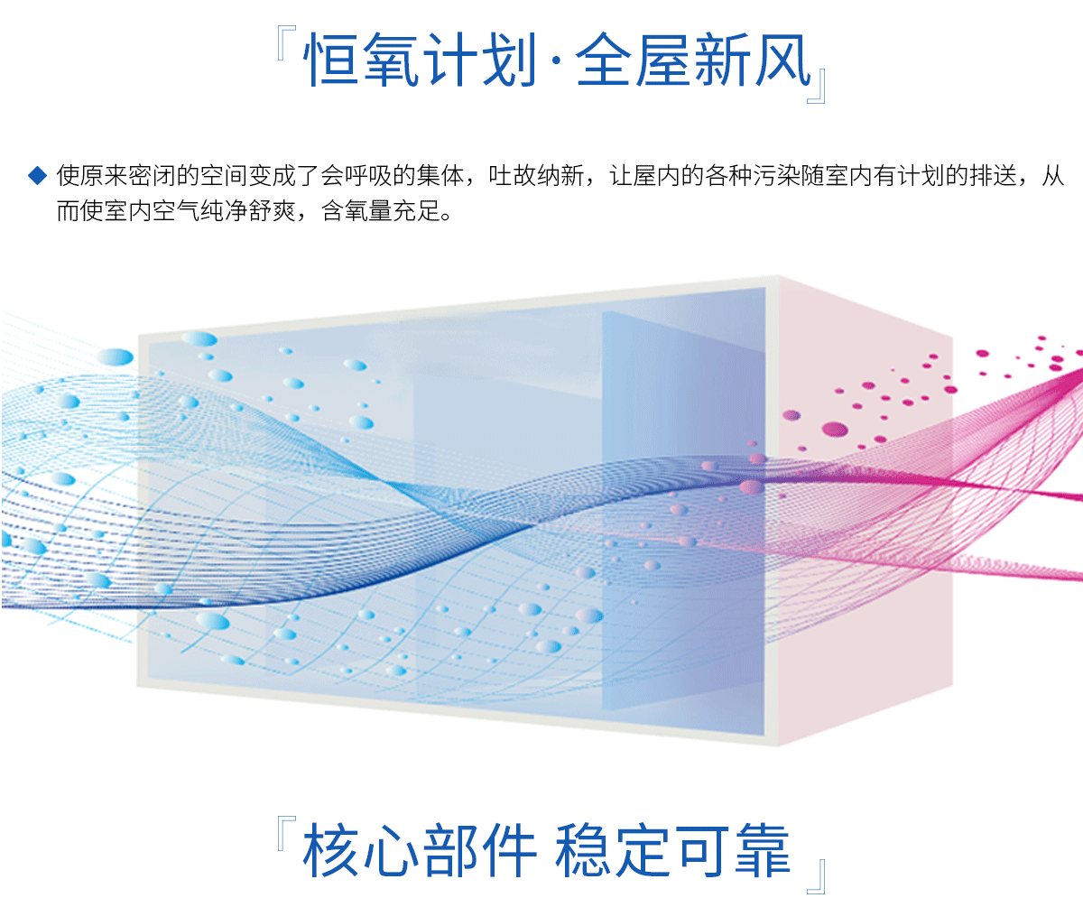 全新風(fēng)交換機組(圖2)